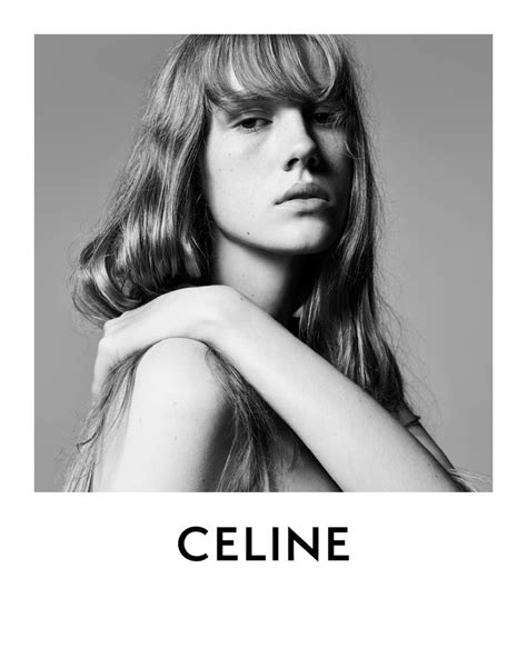 celine hedi slimane|hedi slimane net worth.